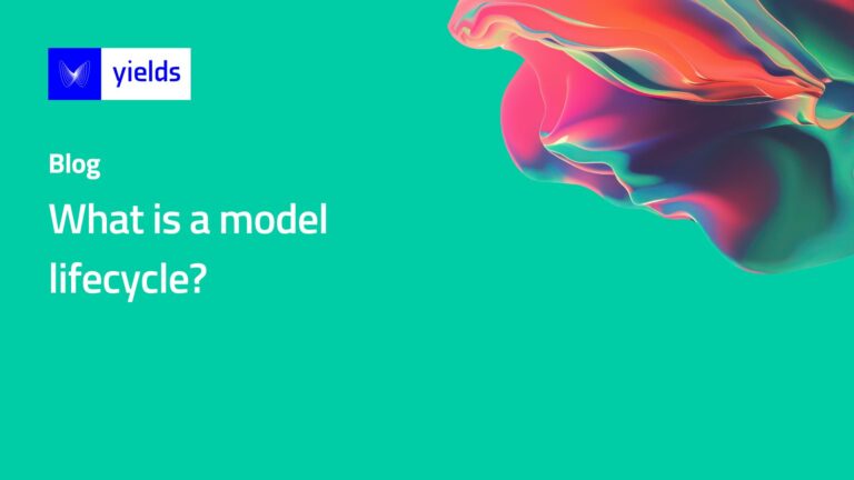 What is a model lifecycle?
